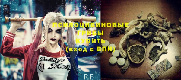 индика Алексеевка