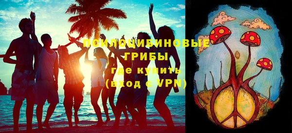 индика Алексеевка