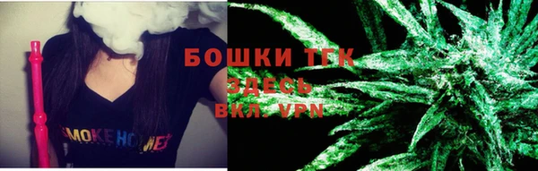 индика Алексеевка