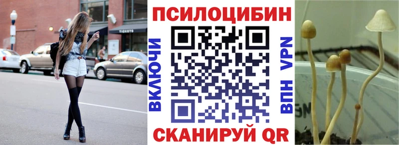 Галлюциногенные грибы мицелий  Полярные Зори 